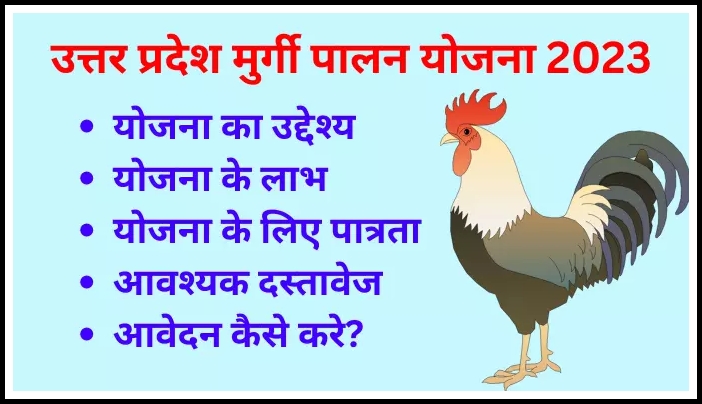 मुर्गी पालन योजना मध्यप्रदेश: करोड़पति बन जाओगे एक साल में! पैसा ही पैसा होगा 2024 का धाशू business है 